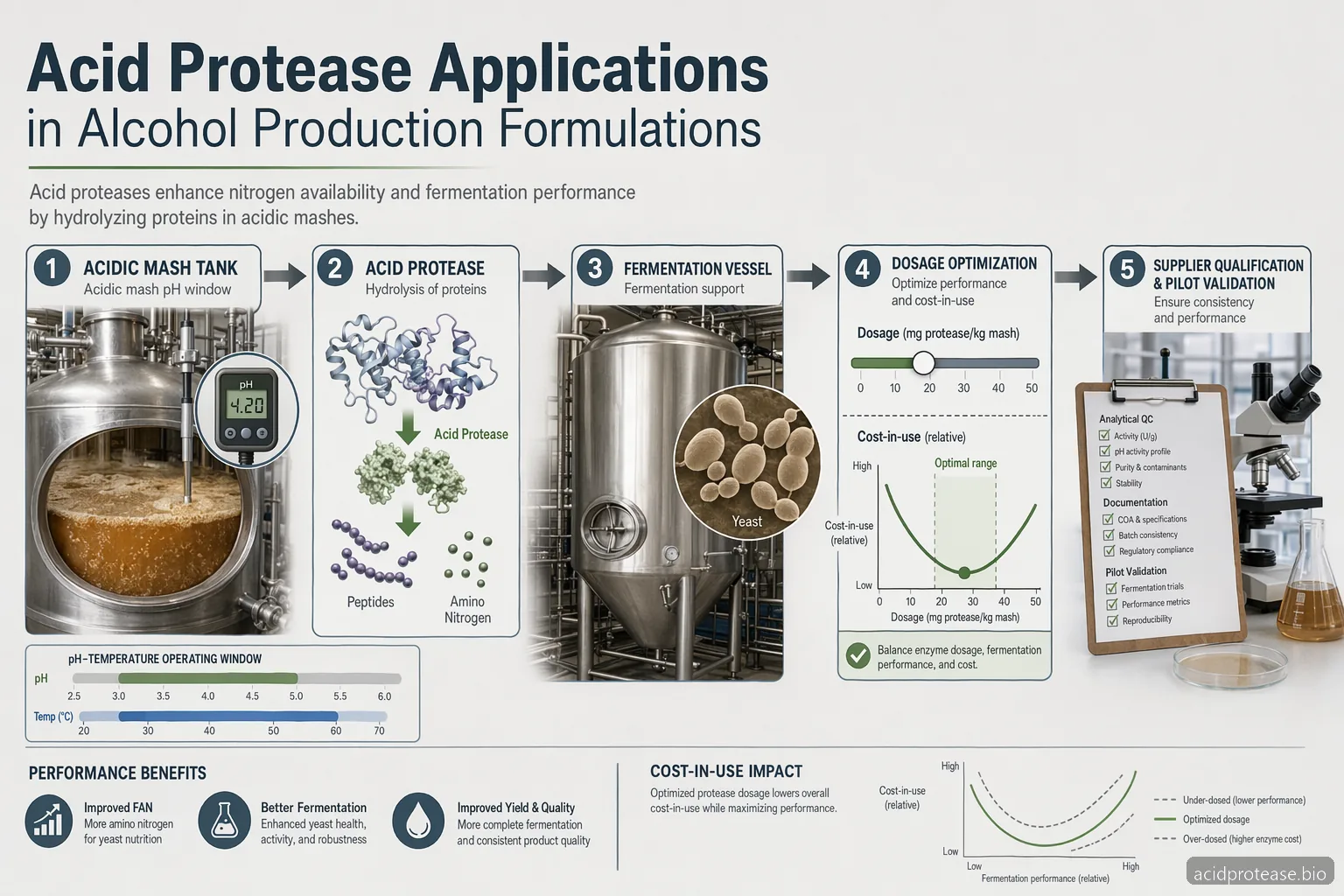 Acid Protease Applications: How to Use Acid Protease in Alcohol Production Formulations — at-a-glance summary