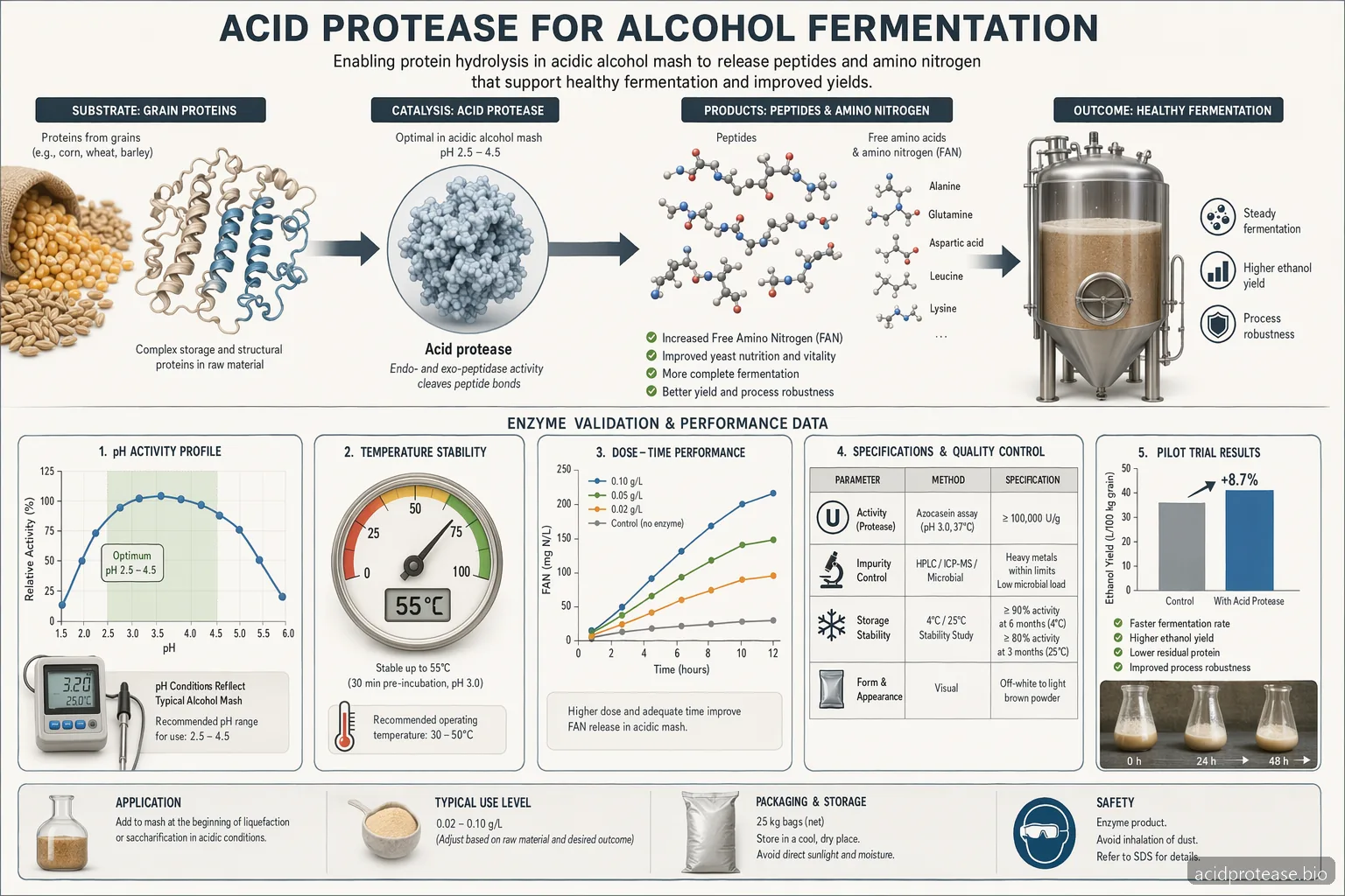 Acid Protease Production In Fungal Root Endophytes: Supplier Guide for Alcohol Production — process diagram