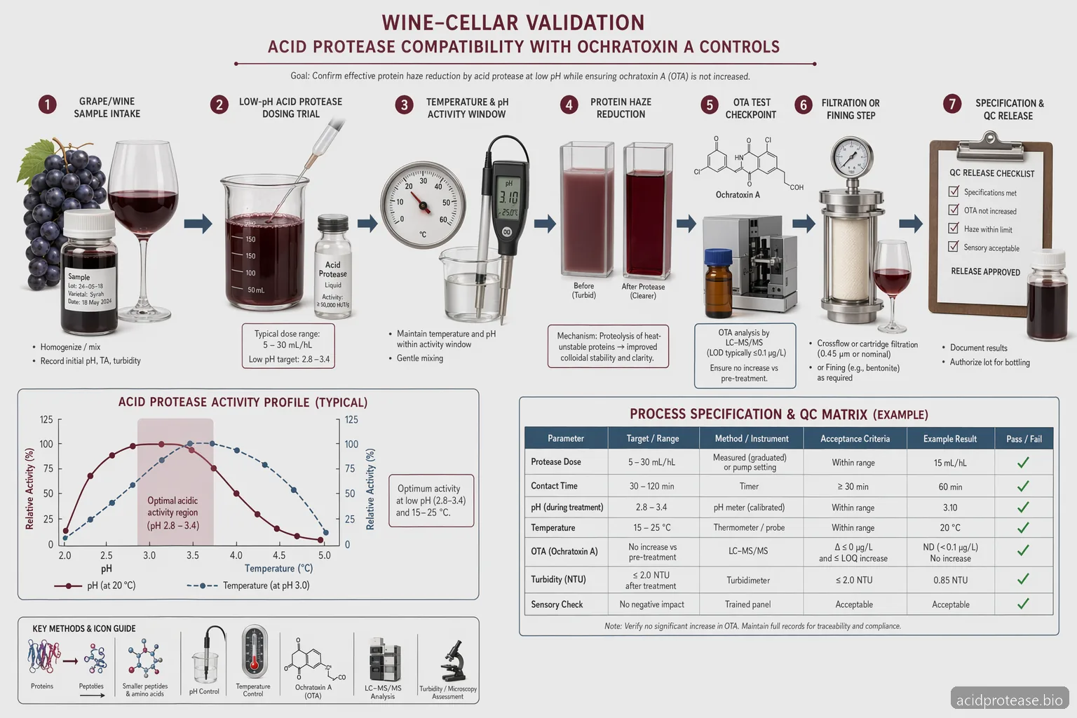 Acid Proteases Ochratoxin A Wine: How to Use Acid Protease in Wine Formulations — process diagram