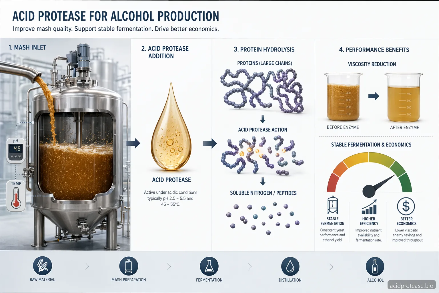Acid Protease for Alcohol Production — at-a-glance summary