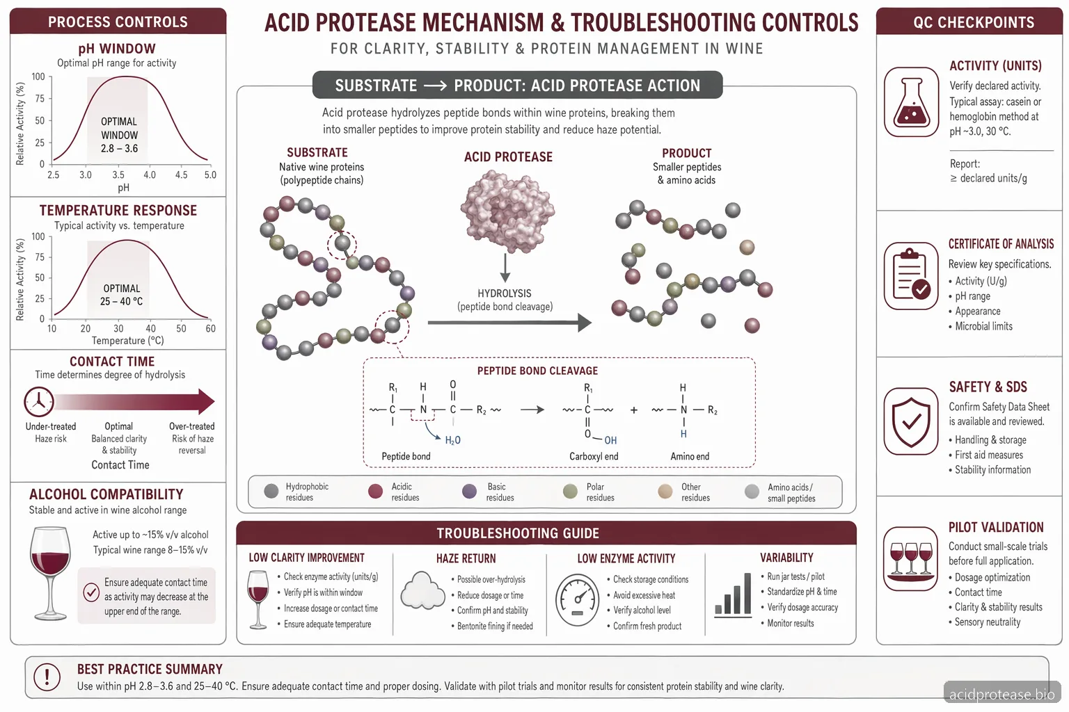 Commercial Acid Protease for Wine: Dosage, pH, and Temperature Troubleshooting — process diagram